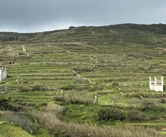 ΤΗΝΟΣ - ΥΛΗ ΚΑΙ ΜΟΡΦΗ feat